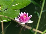 P1210434