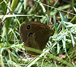 P1210394