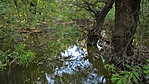 WP_20200918_16_09_29_Pro