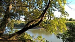 WP_20200918_16_41_54_Pro