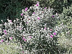 20200906_092253