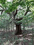 20200906_094035