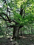 20200906_100253