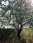 IMG_20200911_144533