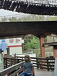 Nyír6