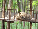 2019-05-18 11.58.56R