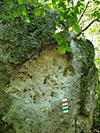 2019-05-25 14.48.16R