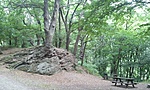 2011-07-16 09.10.47R