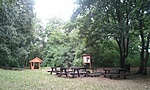2011-07-16 09.30.06R