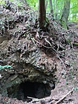 IMG_20200911_105505