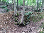 IMG_20200911_105753