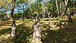 20200918_103005