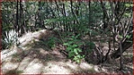 20200911_101755