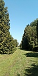 IMG_20200801_102433