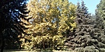 IMG_20200801_101935