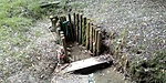 IMG_20200803_092304