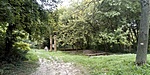 IMG_20200803_092158