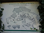 DSC08353