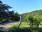 DSC08105