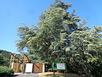 DSC08107