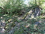 DSC07850