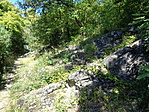 DSC07855
