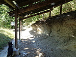 DSC07864