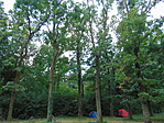 DSC02104