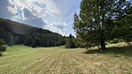 IMG_7734