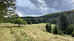 IMG_7730