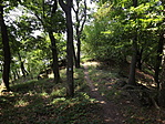 Borjúfő-1