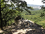 Borjúfő-7