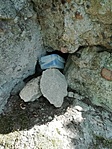 Borjúfő-11