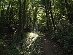 Kutyatemető és forrás-2