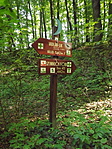 Kutyatemető és forrás-3
