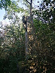 IMG_20200912_143233