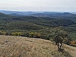 IMG_20200919_134158