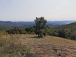 IMG_20200919_123056