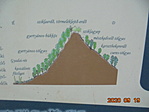 Infó