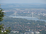IMG_8608