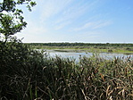 IMG_8858