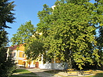 IMG_8904
