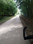 Ágnes-laki zöldfolyosó