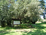 DSC06075