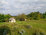 DSC06179
