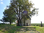 DSC06258