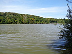 DSC06273