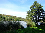 DSC06276