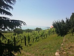 IMG_20200627_121949