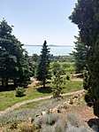 IMG_20200627_122812